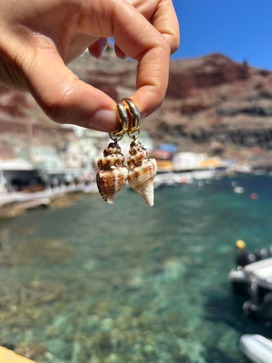 Cute as Shell charms