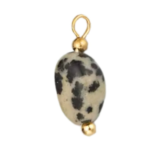 dalmatien jasper