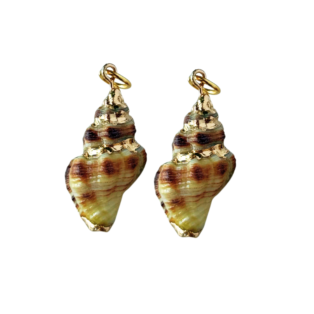 Cute as Shell charms
