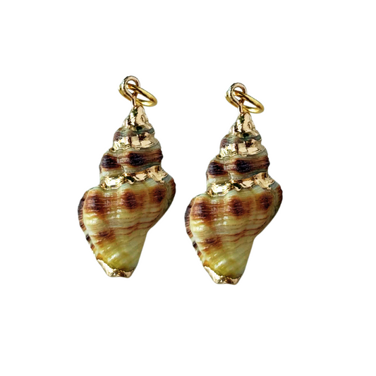 Cute as Shell charms